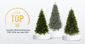 Luxuriose Weihnachtsbaume TOP 10