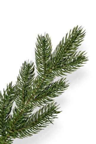 Künstlicher Weihnachtsbaum 3D Fichte Exklusiv, hat dichte grüne Nadeln