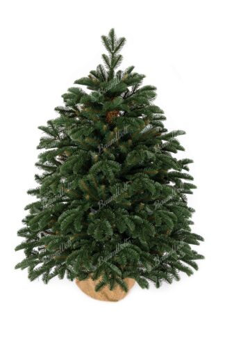 Künstlicher Baum im Topf 3D Tanne Charmant, hat dicke dunkelgrüne Nadeln und ist getopft